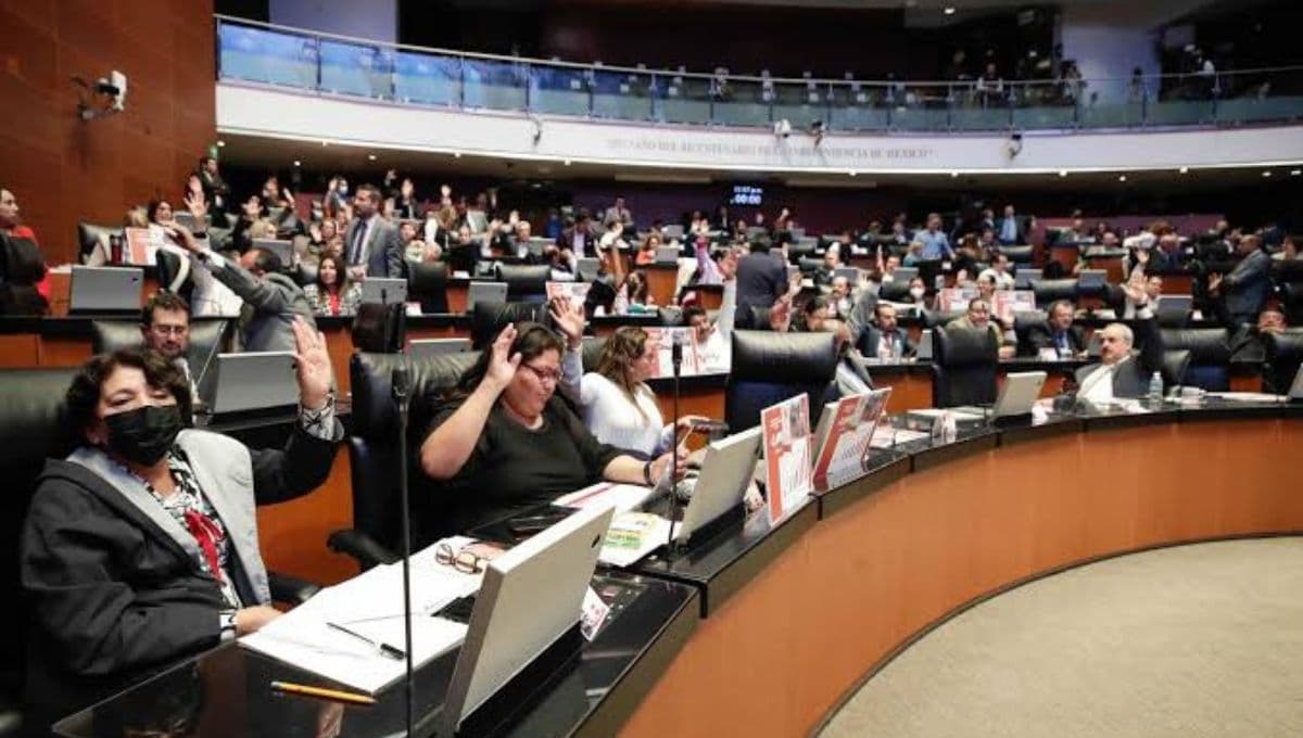 Senado de la República fomenta ley para una vida sin violencia para las mujeres