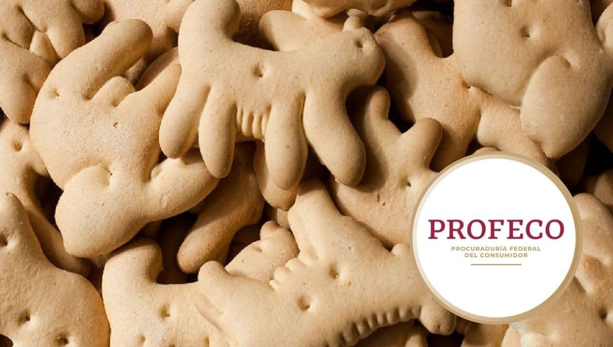 Estas son las PEORES galletas de animalitos según Profeco, son de marca corriente y tienen mucha sal