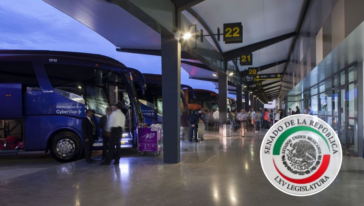 Senado de la República aprueba descuento de 50% en autotransporte para estudiantes todo el año