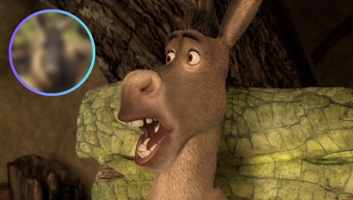 Así se vería ‘Burro’ de Shrek en la vida real según la inteligencia artificial; su mirada te dará pesadillas