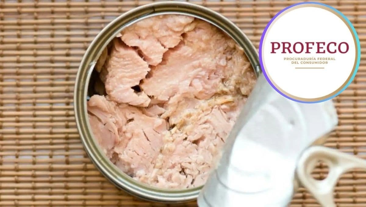 ¿Cuál es el mejor atún en lata según Profeco? No tiene NADA de soya