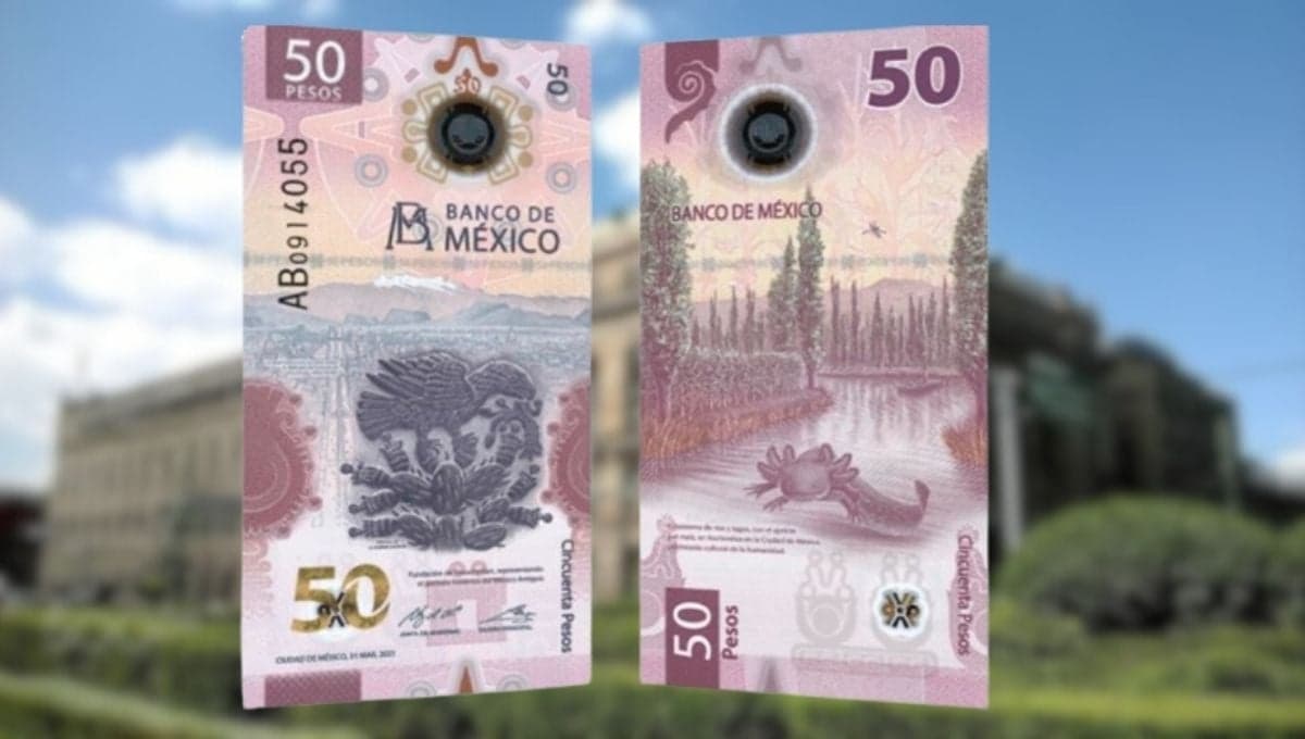 Los dos billetes del ajolote por los que te pagan 500 mil pesos