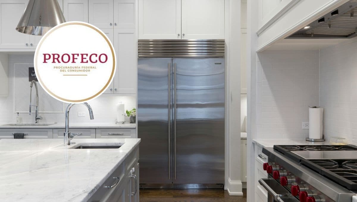 Profeco te dice qué refrigerador comprar, ideal para la ola de calor