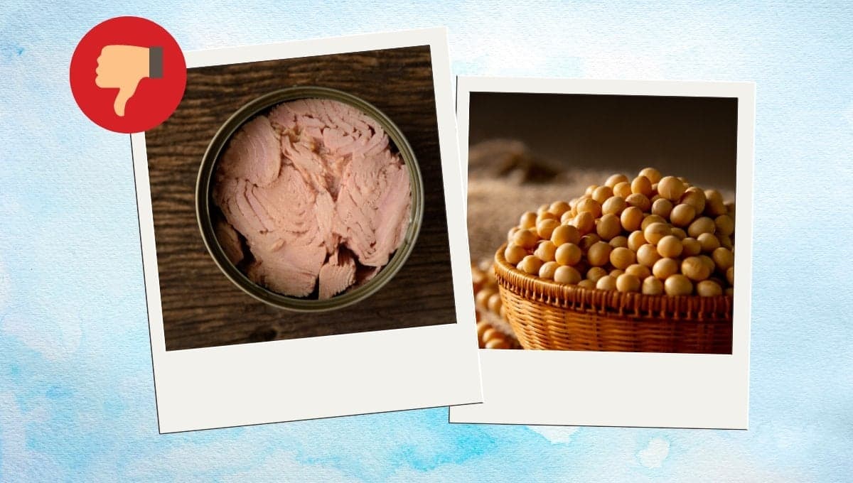 Ya mejor que sea pura soya: Las marcas de atún que Profeco DESTRUYÓ al revelar su contenido