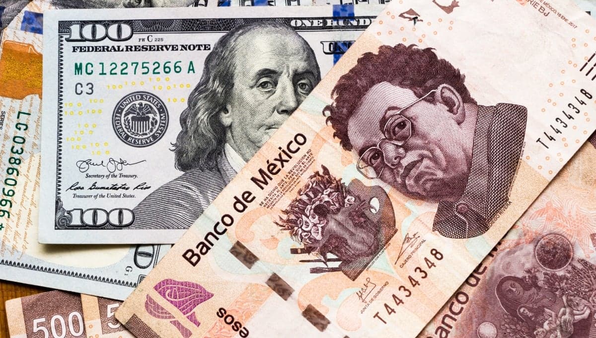Precio del dólar HOY 23 de septiembre 2024: ¿cuál es el tipo de cambio en bancos para este lunes