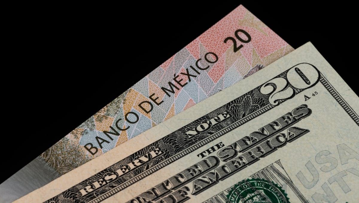 Precio del dólar HOY 30 de septiembre 2024: ¿cuál es el tipo de cambio en bancos para este lunes