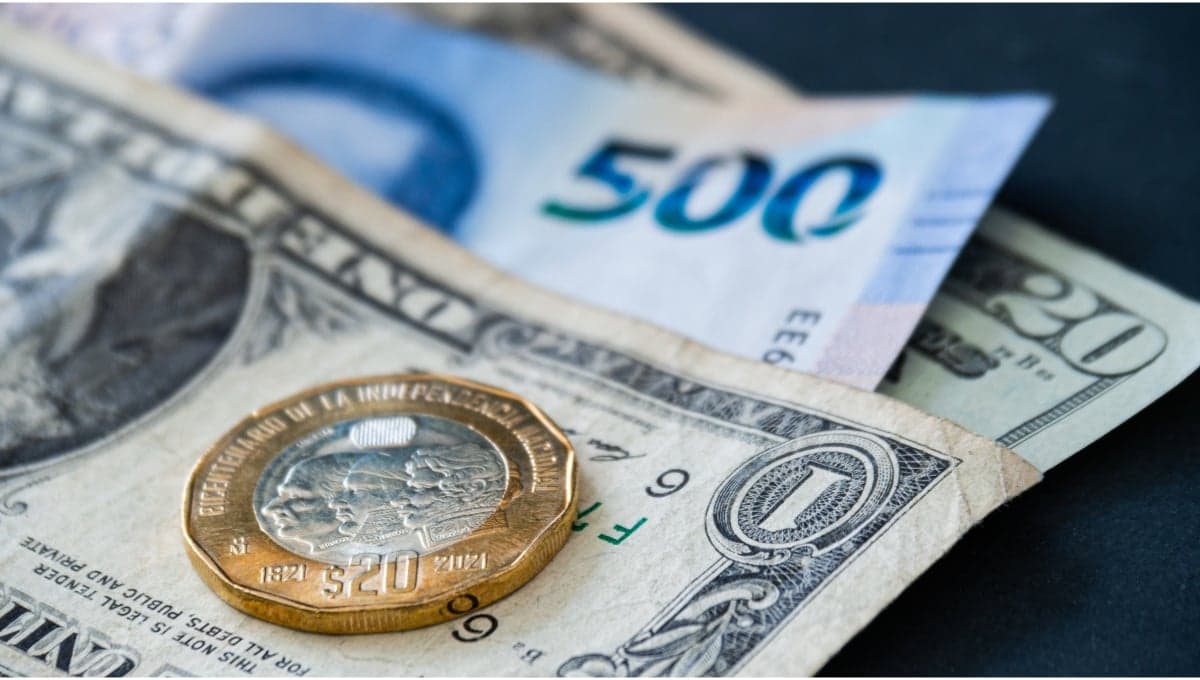 Precio del dólar HOY 14 de octubre 2024: ¿cuál es el tipo de cambio en México este lunes?