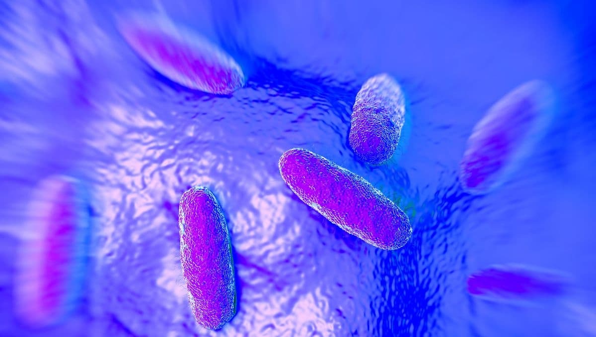 ¿Qué es la Klebsiella oxytoca? Síntomas y cómo se transmite la nueva bacteria que causó alerta