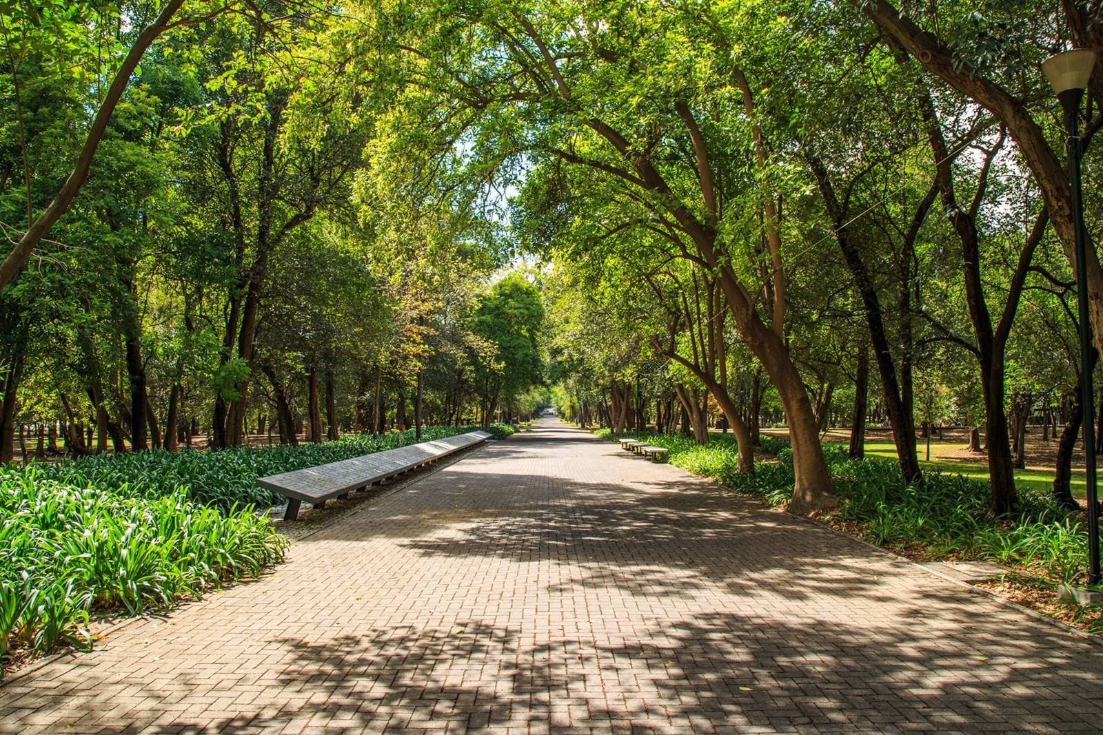 El Bosque de Chapultepec ha sido nombrado como el mejor parque urbano del mundo