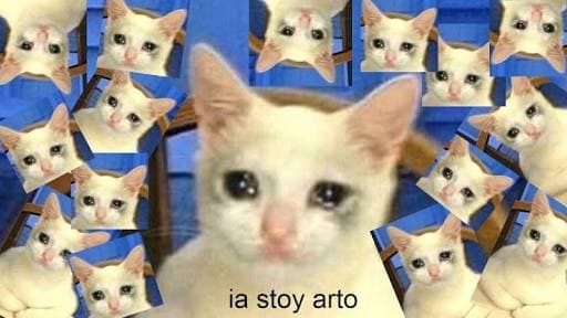 El meme del gatito que ‘ia sta arto’ captura muy bien nuestras emociones