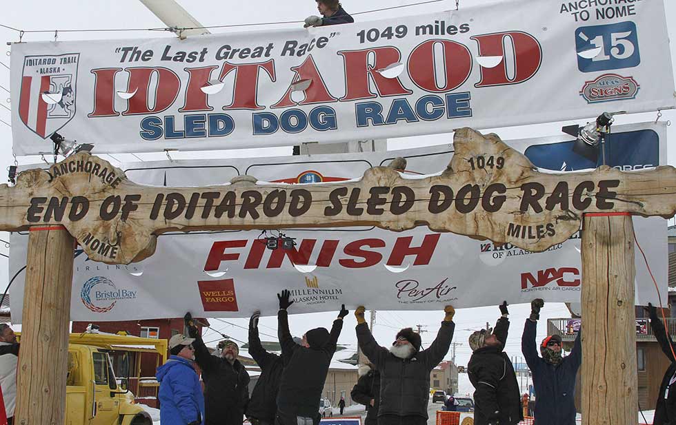 Descalifican a perros de competencia por dopaje