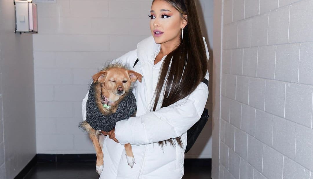 Ariana Grande podría cancelar concierto por enfermedad