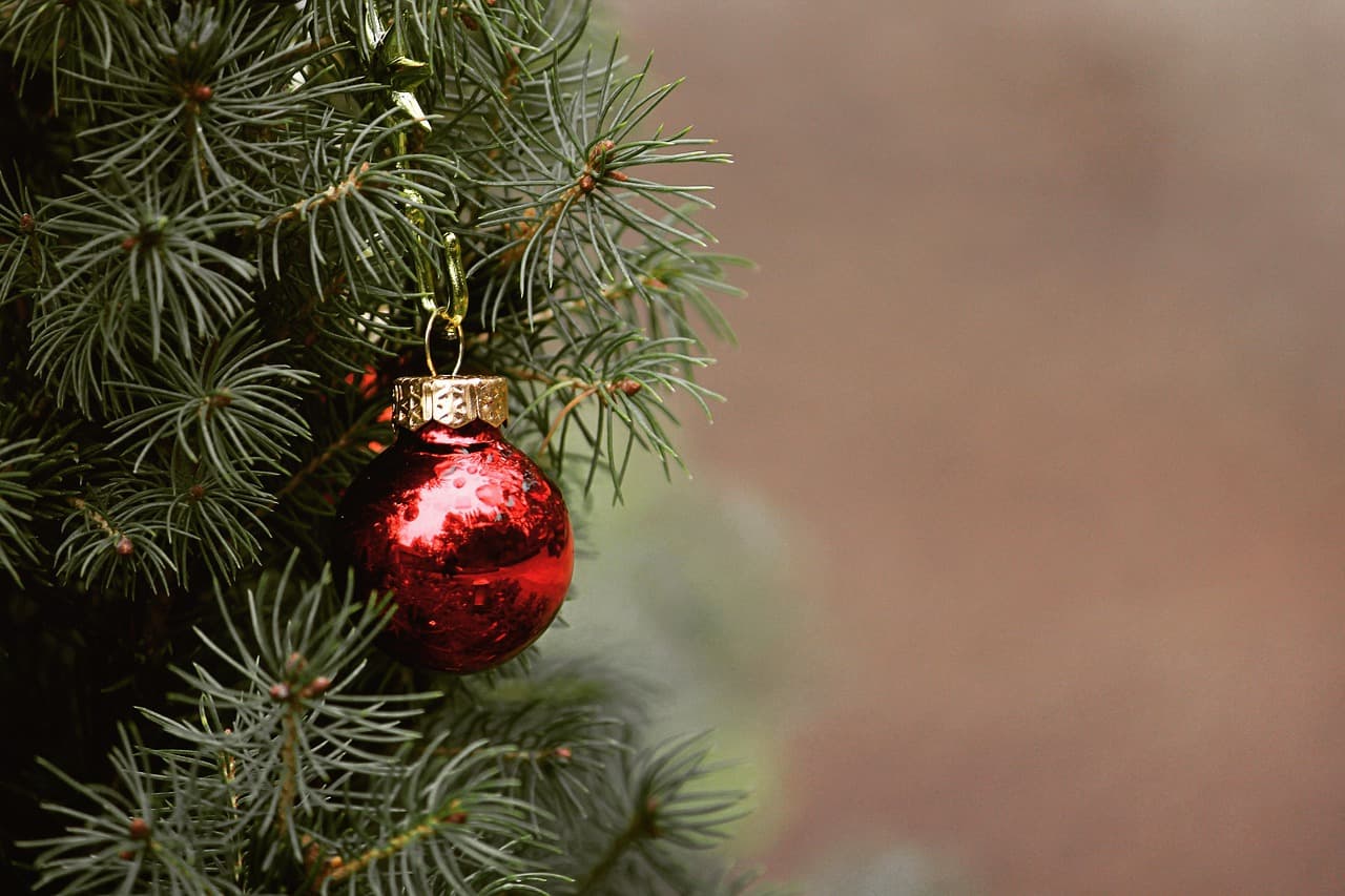 Centros de acopio para árboles de Navidad: ¿dónde se encuentran?