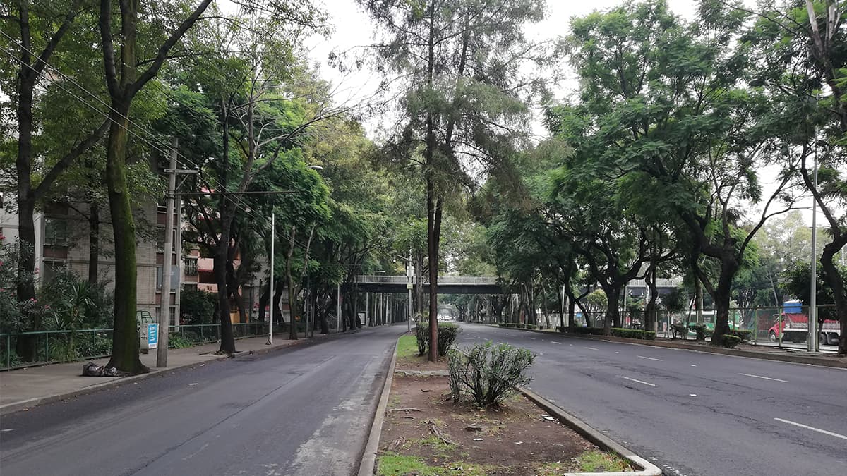 Clima para la CDMX y el Valle de México viernes 31 de enero