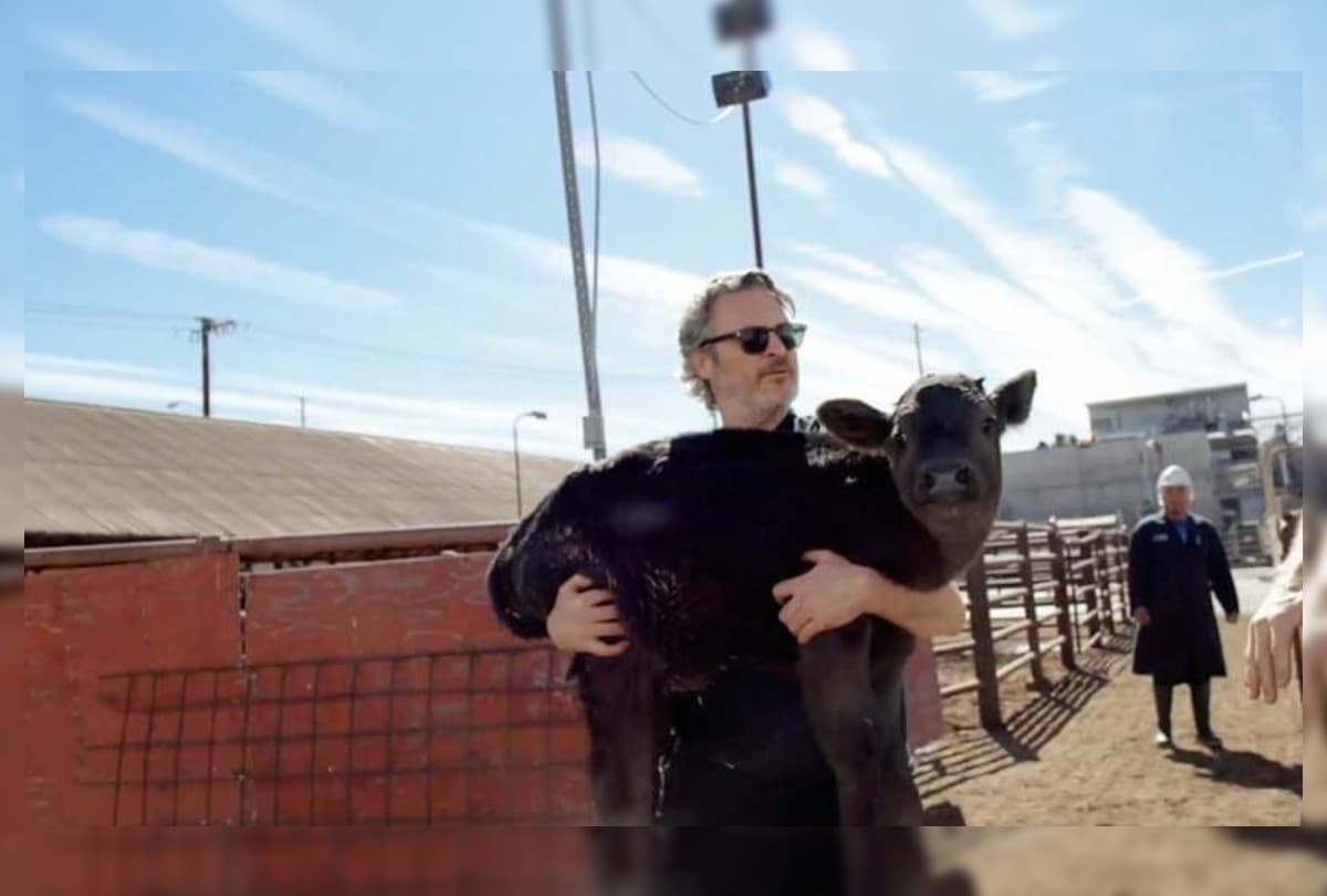Joaquin Phoenix rescata vaca y su bebé de matadero
