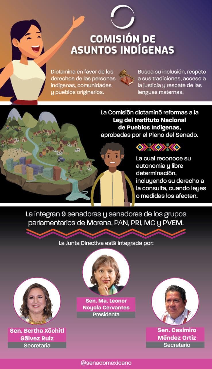 Senado promueve los derechos humanos y defiende los asuntos indígenas