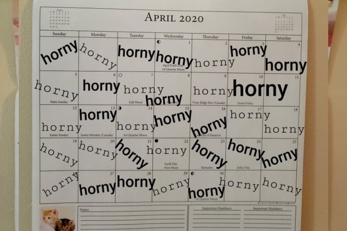 Hoy es el National Horny Day, ¿cómo nació esta celebración?