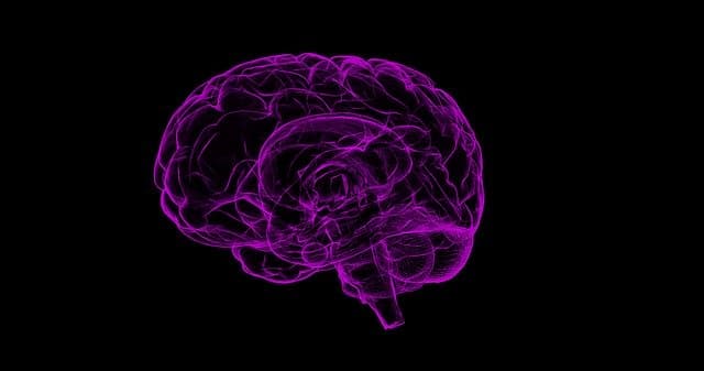 Coronavirus también afecta cerebro y sistema nervioso, confirma estudio