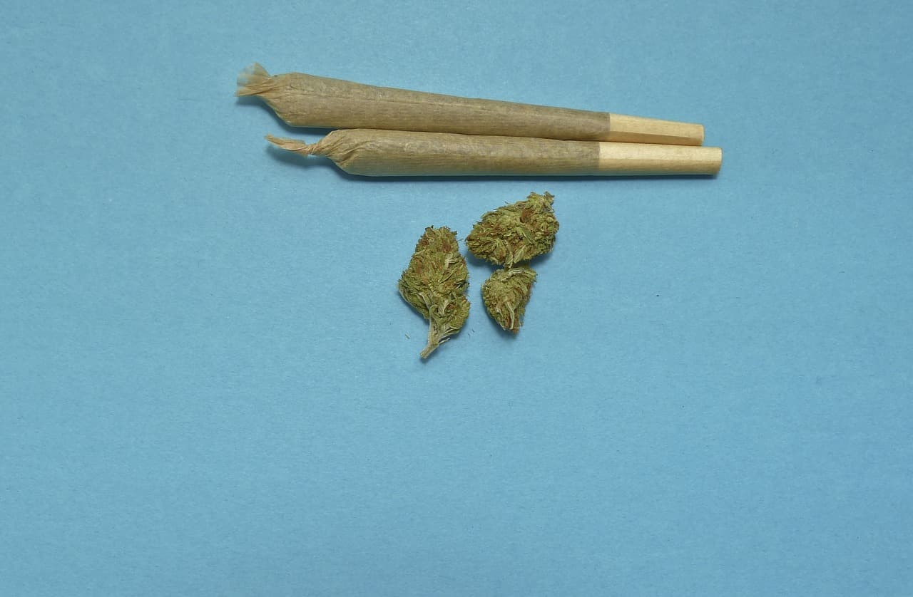 Consumir marihuana te hace mas vulnerable al coronavirus