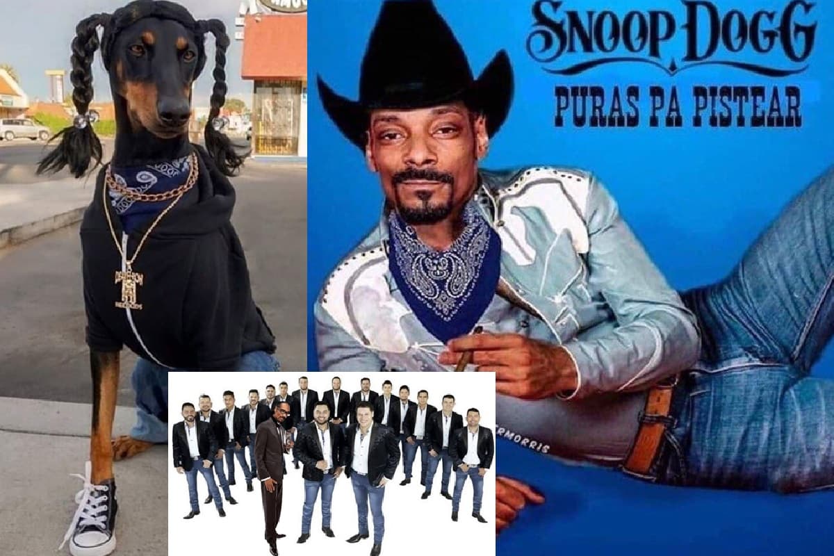 Snoop Dogg y la Banda MS estrenan ‘Qué maldición’ y memes responden