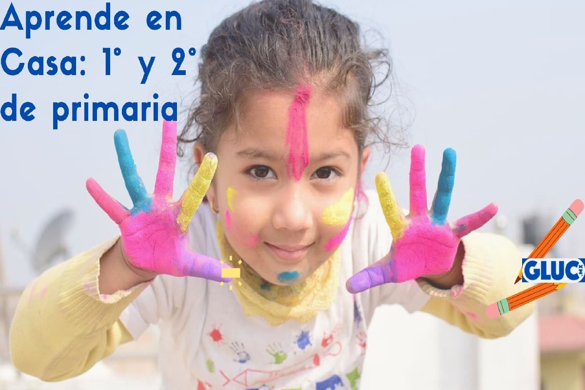 Aprende en casa 8 de mayo: Respuestas de 1° y 2° grado de primaria