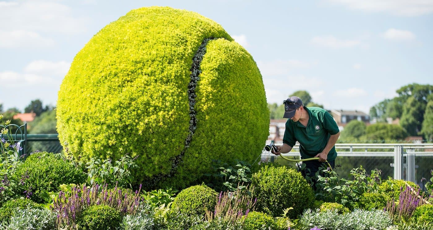 Wimbledon dona más de un millón de euros para combatir coronavirus