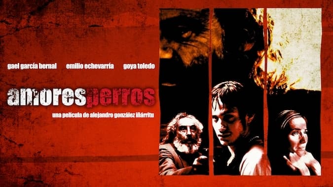 Relanzarán Amores Perros para celebrar los 20 años de la película