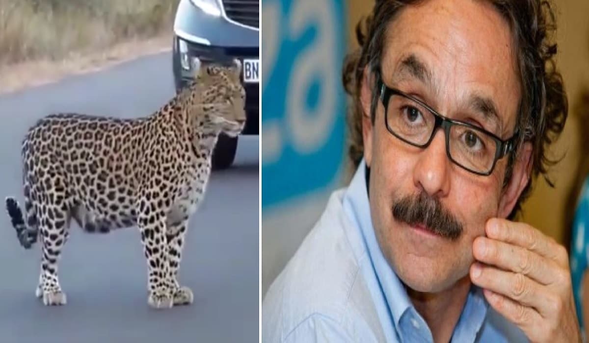 Quadri comparte video falso de un jaguar y las redes se burlan