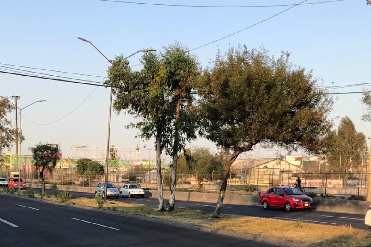 Hoy No Circula para el sábado 27 de junio del 2020 en CDMX y EdoMex