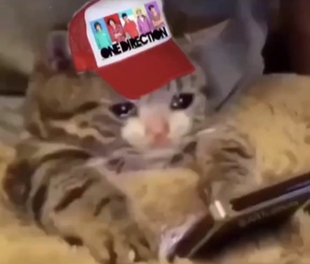 One Direction comienza con su celebración y los memes no paran