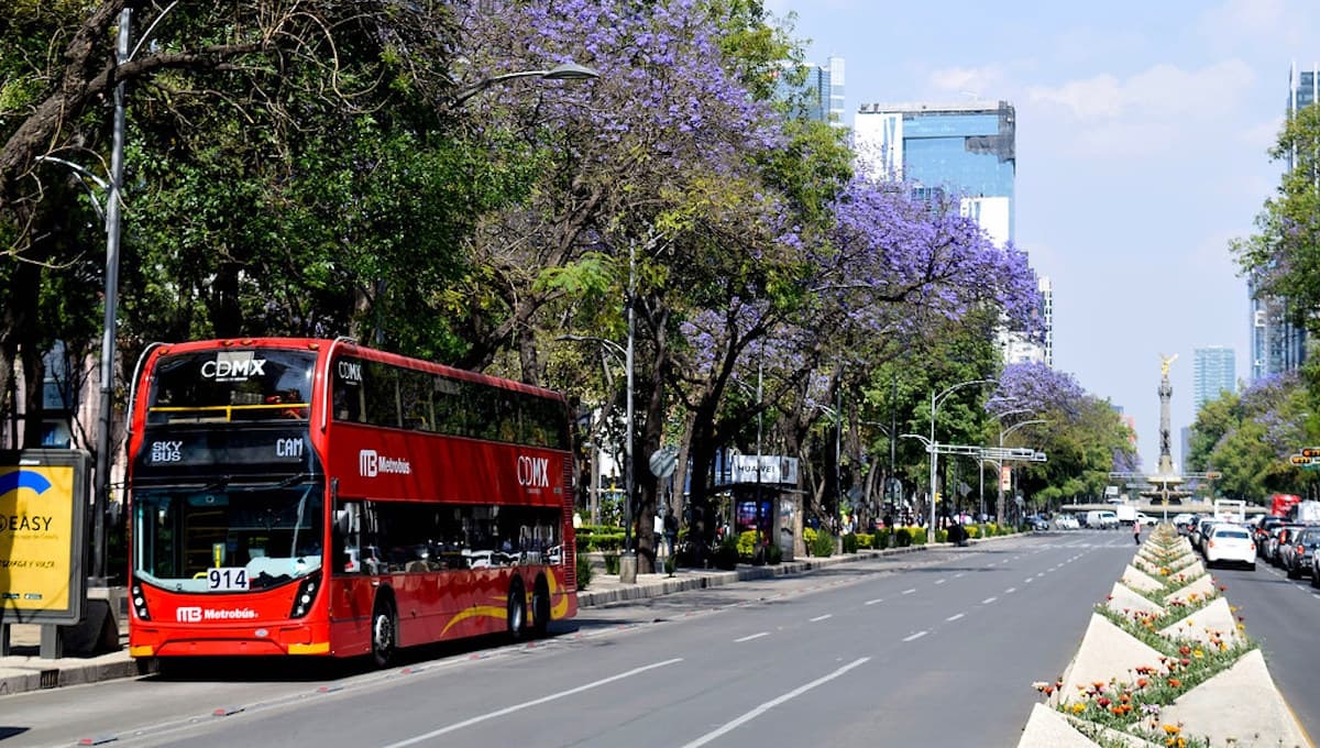 Hoy No Circula: así aplica para el lunes 1 de febrero del 2021