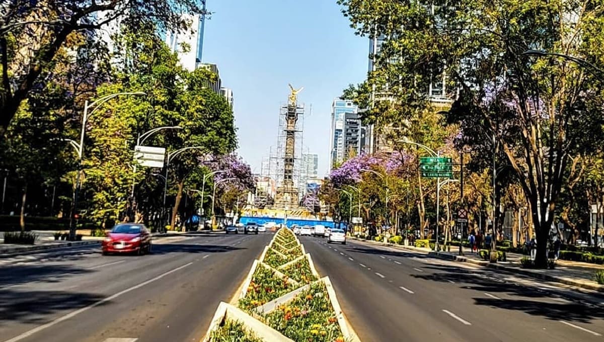Hoy No Circula: así aplica para el sábado 13 de marzo del 2021