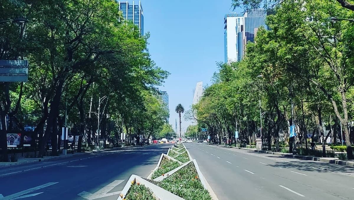 Hoy No Circula: Así aplica para el miércoles 5 de mayo en la CDMX y Edomex