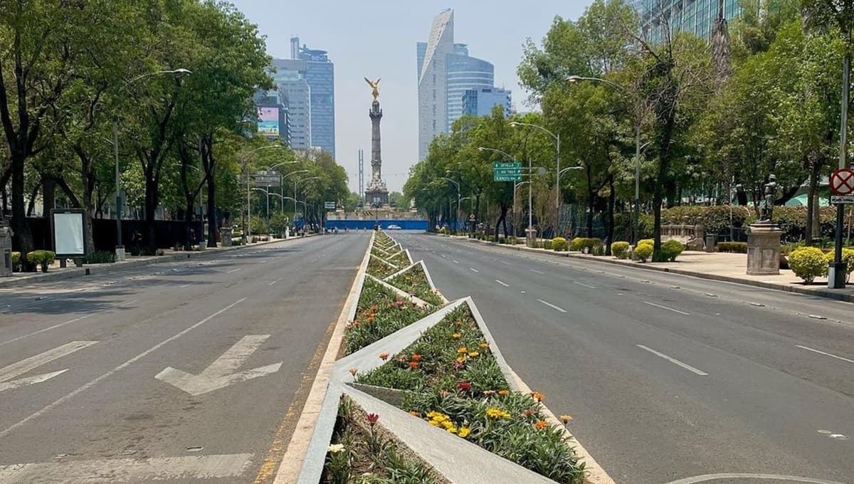 Hoy No Circula: Así aplica para el viernes 7 de mayo del 2021 en CDMX y EDOMEX