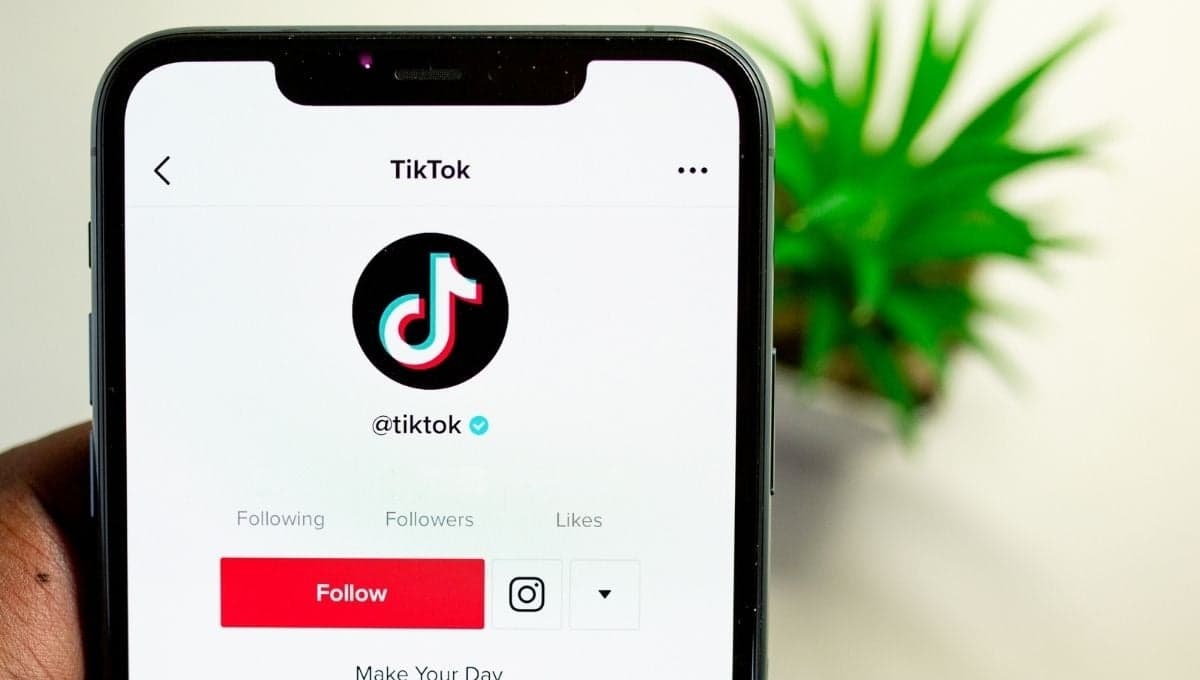 Cuentas de TikTok que puedes seguir si te gustan los reality shows