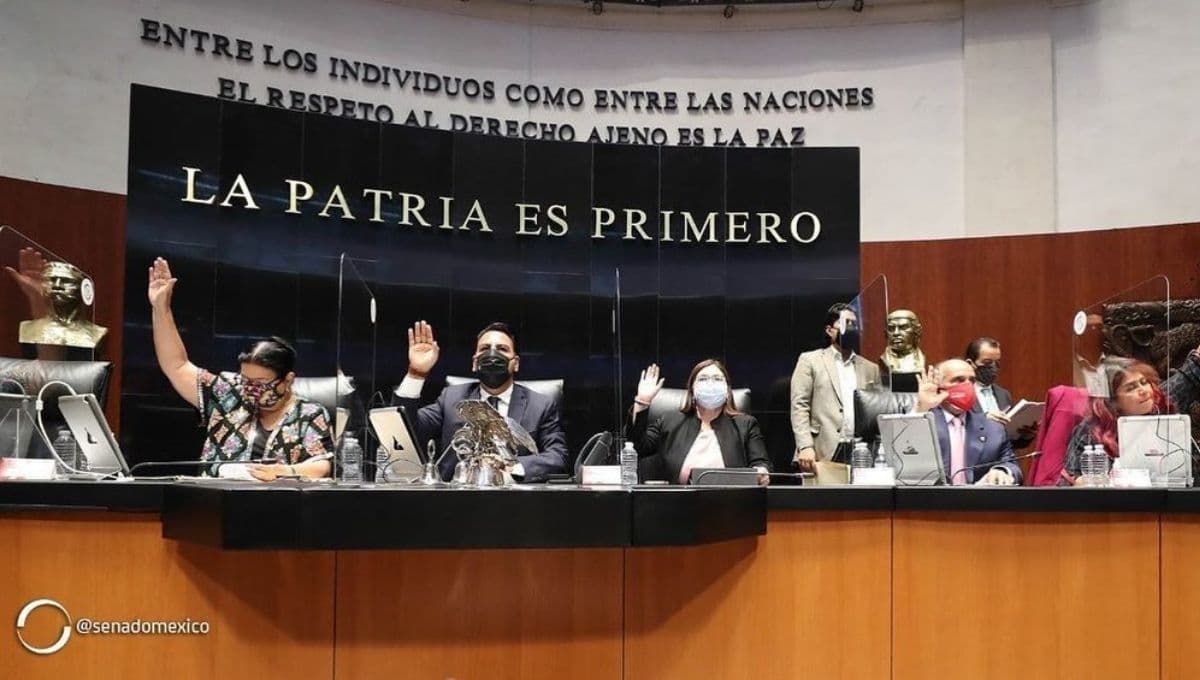 Ahora es Ley: Senado de la República a favor de la defensa de los derechos humanos