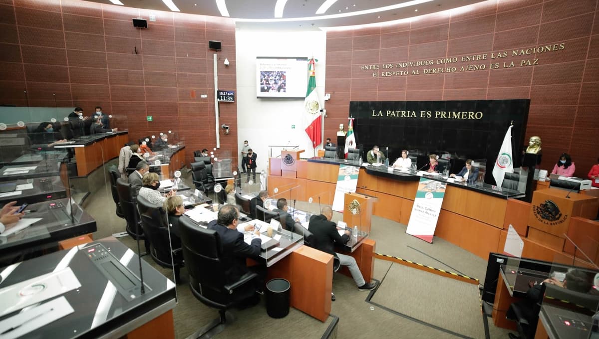 Senado de la República muestra su preocupación por la participación de jovenes en la política