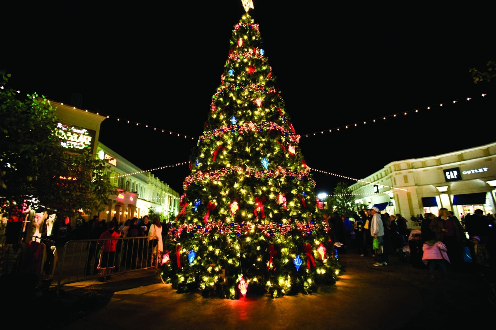 ¿Cuándo se debe poner el árbol de Navidad?