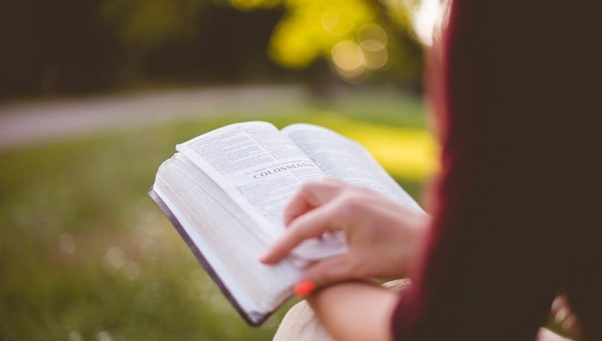 5 libros cortos que puedes leer de una sentada