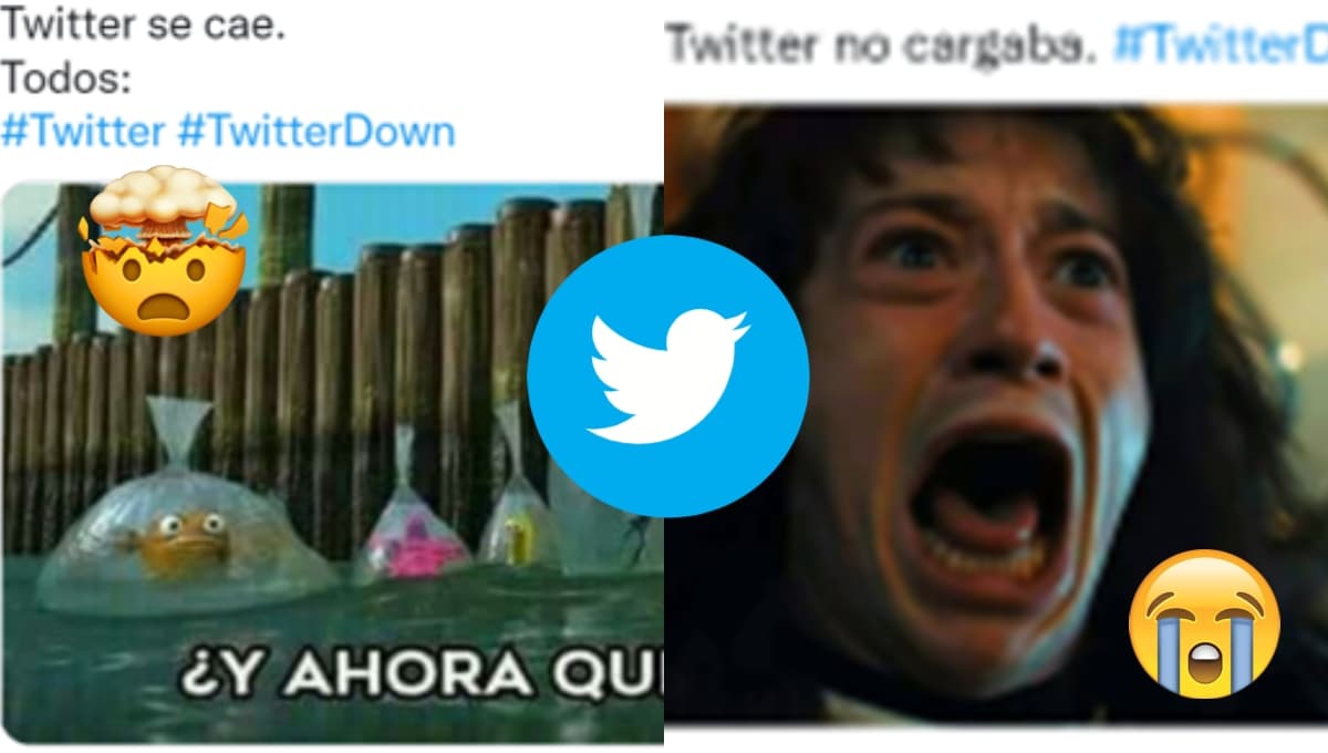 ¿Se cayó Twitter? MEMES se frustran al buscar la respuesta en Twitter