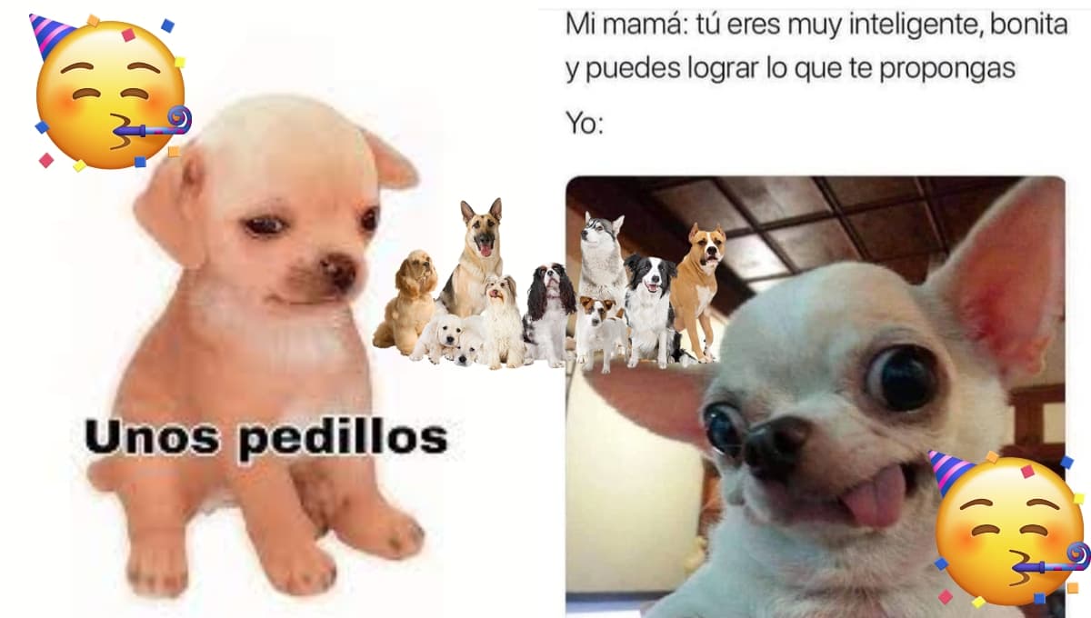 ¡Feliz día del perro! Imagenes y frases para celebrar a tu amigo peludo