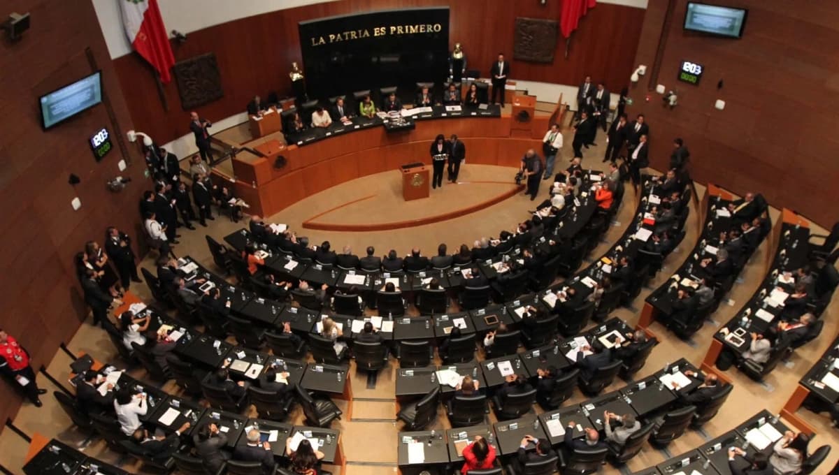 El Senado de la República sigue su lucha contra la Trata de Personas