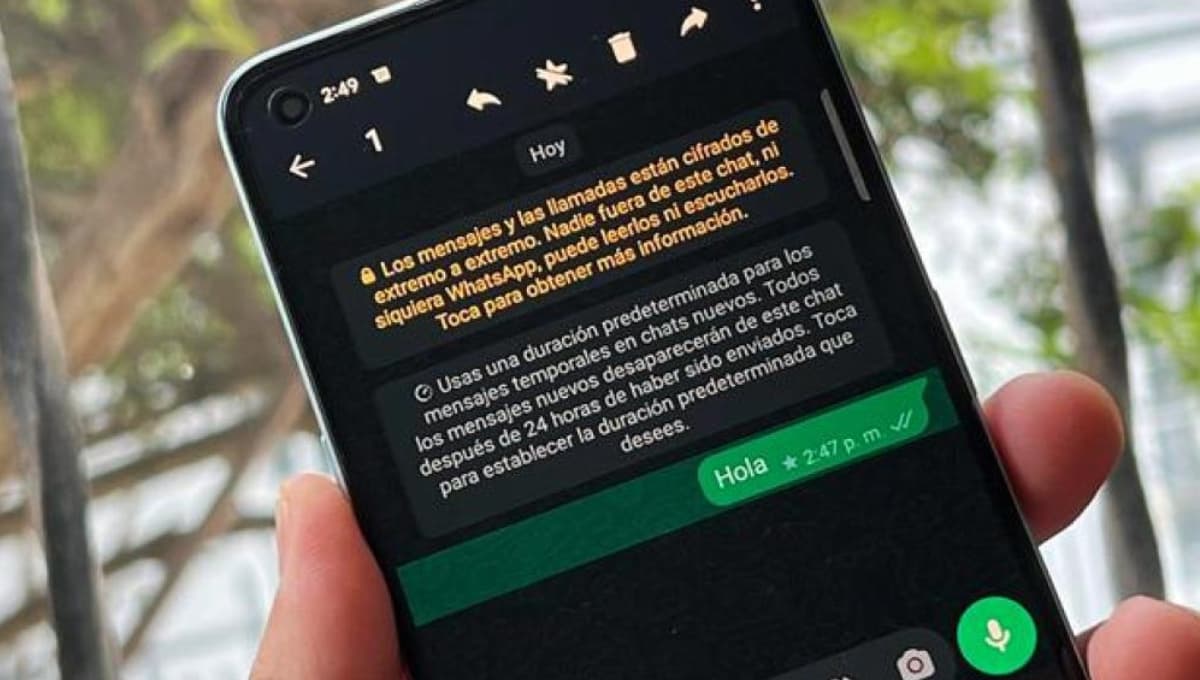 ¿Qué significa la estrella de WhatsApp que aparece al lado de los mensajes?