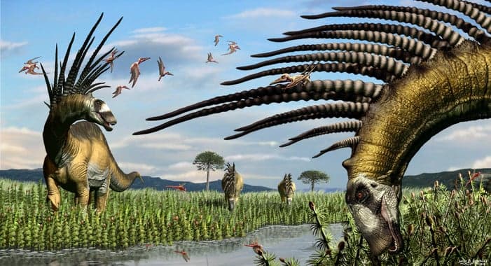 Descubren en Argentina una nueva especie de dinosaurio con espinas en el cuello y espalda