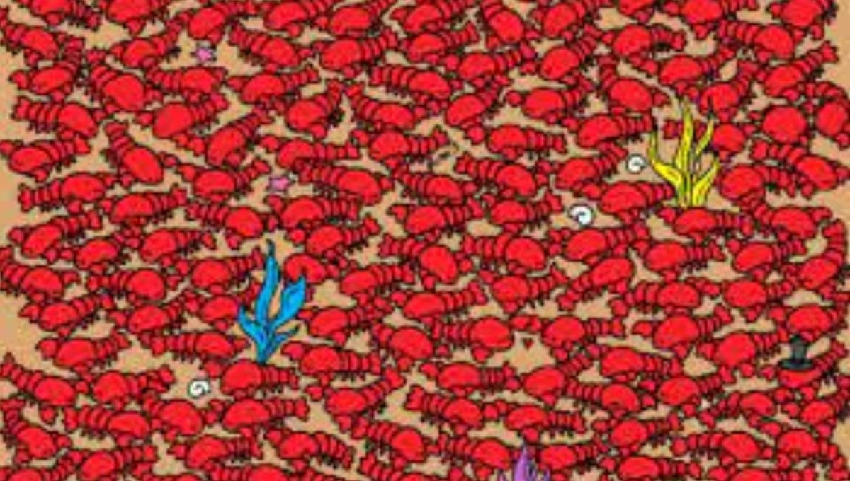 Reto visual: Encuentra los 4 cangrejos entre todas las langostas (el 95% falla)