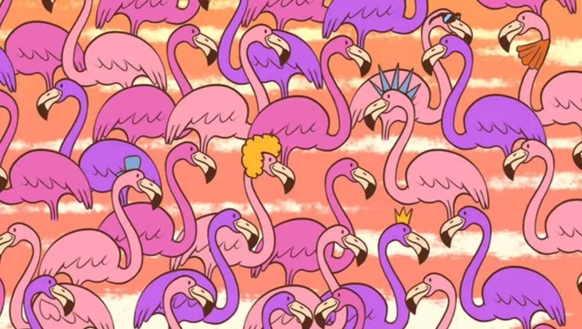 ¿Ves el corazón escondido entre los flamencos? Resuelve el reto visual en MENOS de 8 segundos