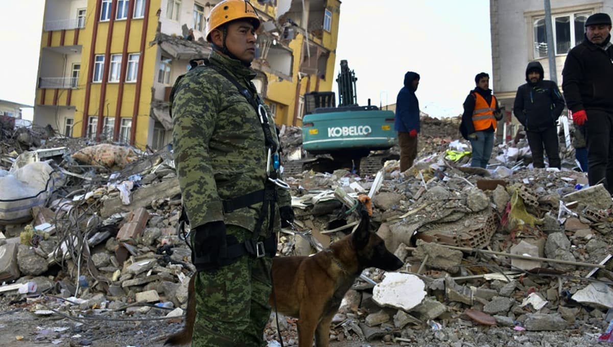Senado de la República expresa su solidaridad con Turquía y Siria después de sismo