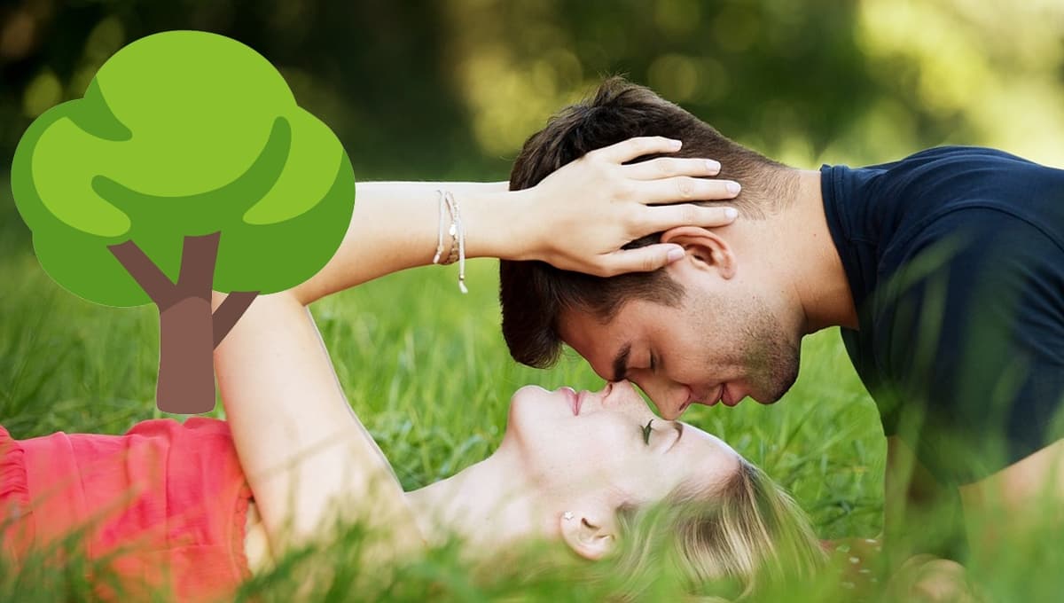 Test de personalidad: el árbol que elijas te dirá si eres APASIONADO en tus relaciones