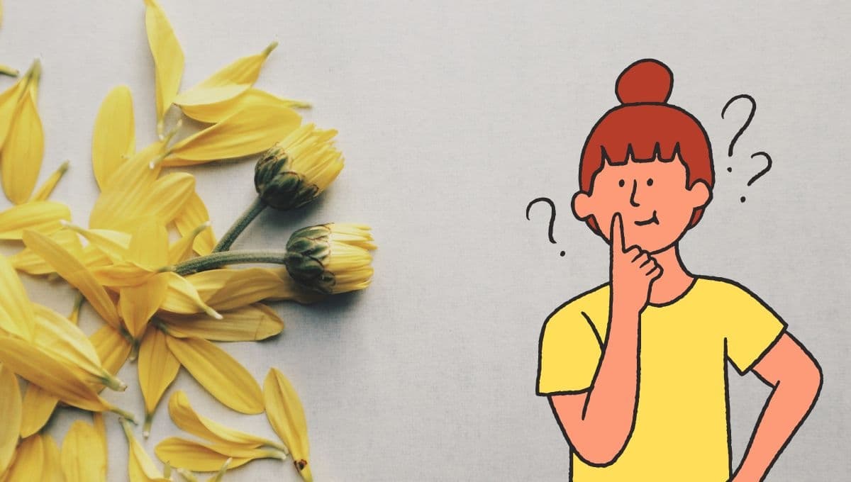 ¿Qué significa que te regalen flores amarillas este 21 de marzo?