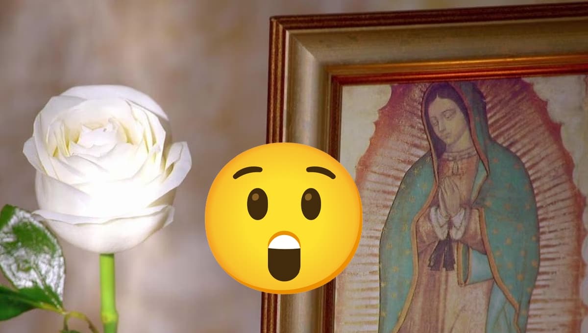Filtran la JUGOSA cantidad que ganan los actores de La Rosa de Guadalupe